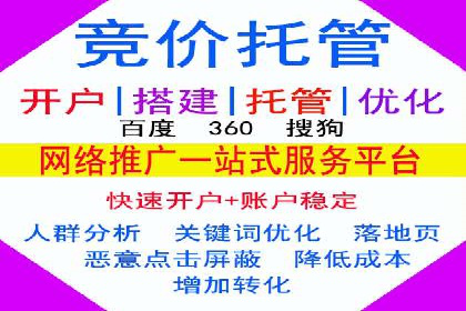 专业SEM托管如何助力电商行业增长？——案例分析